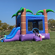 Rental Grade Inflatable