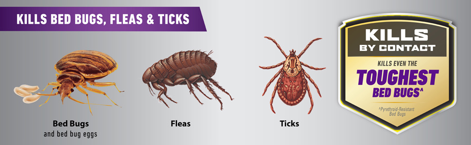Kills Bed Bugs, Fleas & Ticks