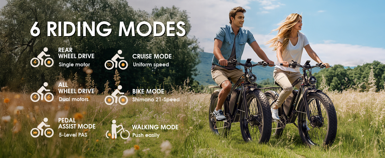 adult electric bike