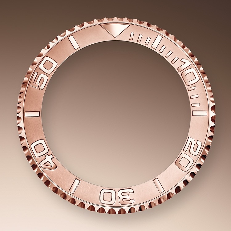 BIDIRECTIONAL ROTATABLE BEZEL