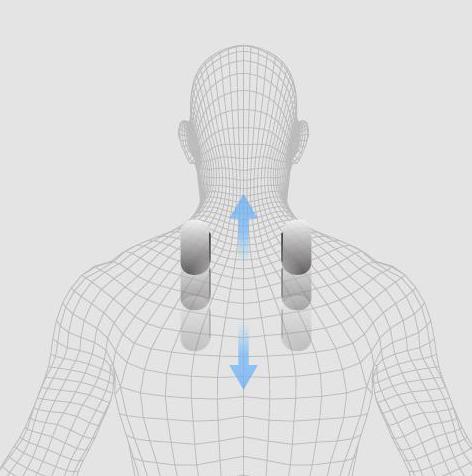admiral_II_body-scan