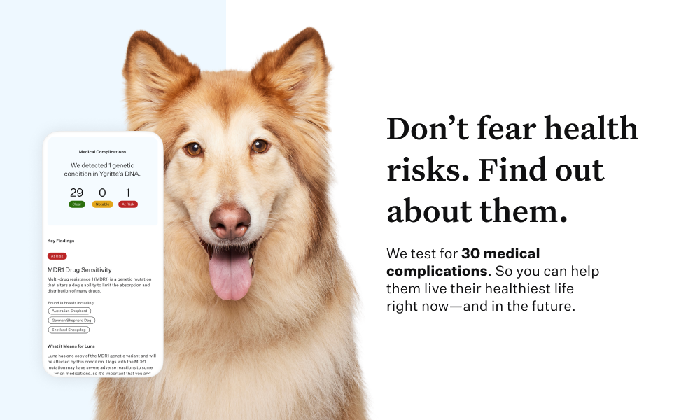 Wisdom Panel Essential Dog DNA test