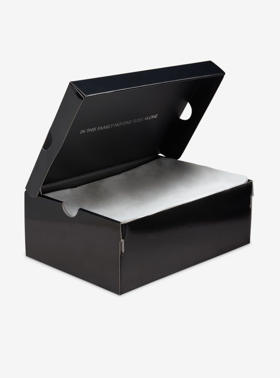 Air Jordan 5 Retro Wings (2025)、JORDAN、Cacoeks