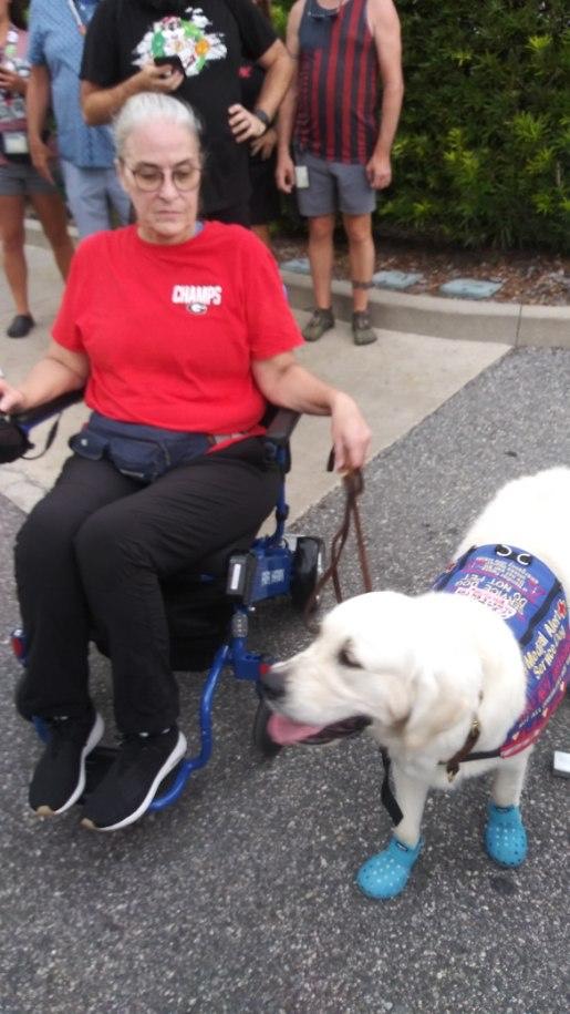 Air hawk wheelchair testimonial