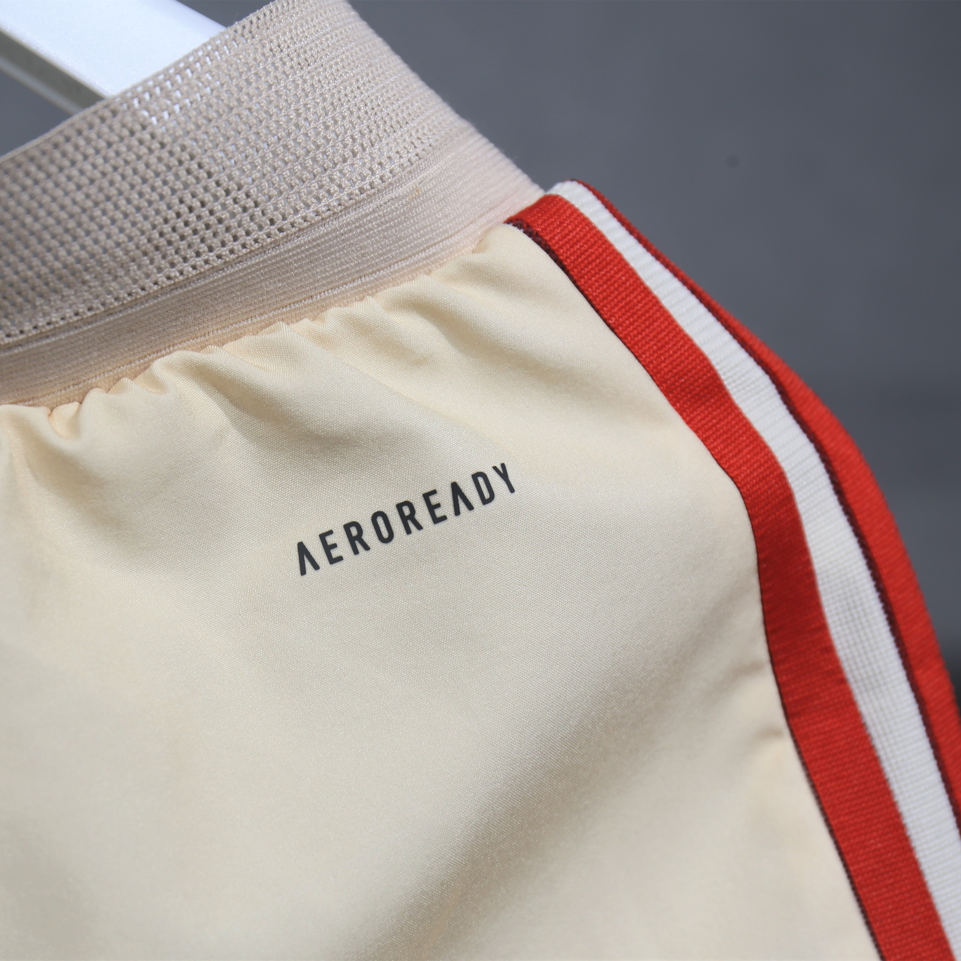 Higojerseys-Bayern Munich 24-25 Third Shorts - Player Version