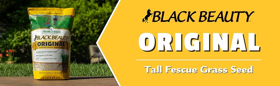black beauty original grass seed lawn seed