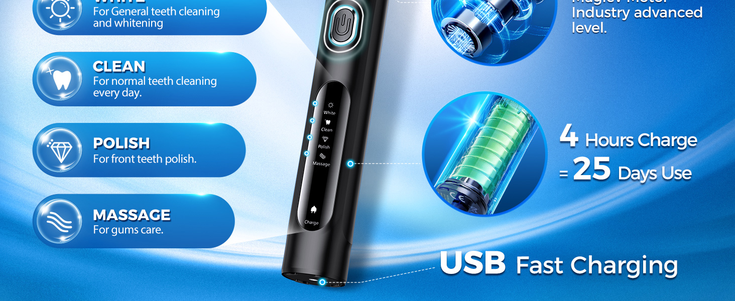 Electric Toothbrush for Adults