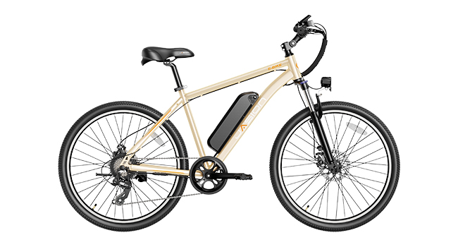 electric bike