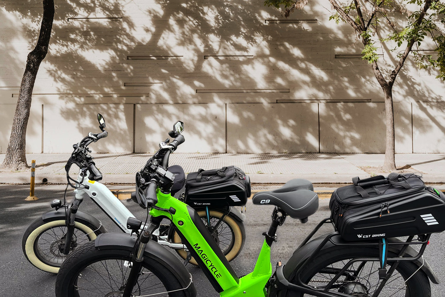 Ebike Battery Storage Waterproof Pannier Bag、mySite、bearsvspackers