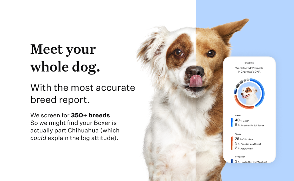 Wisdom Panel Essential Dog DNA test