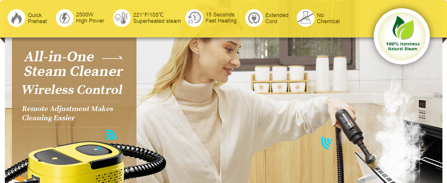 steam cleaner,steamer for cleaning,steam cleaner for home,handheld steam cleaner