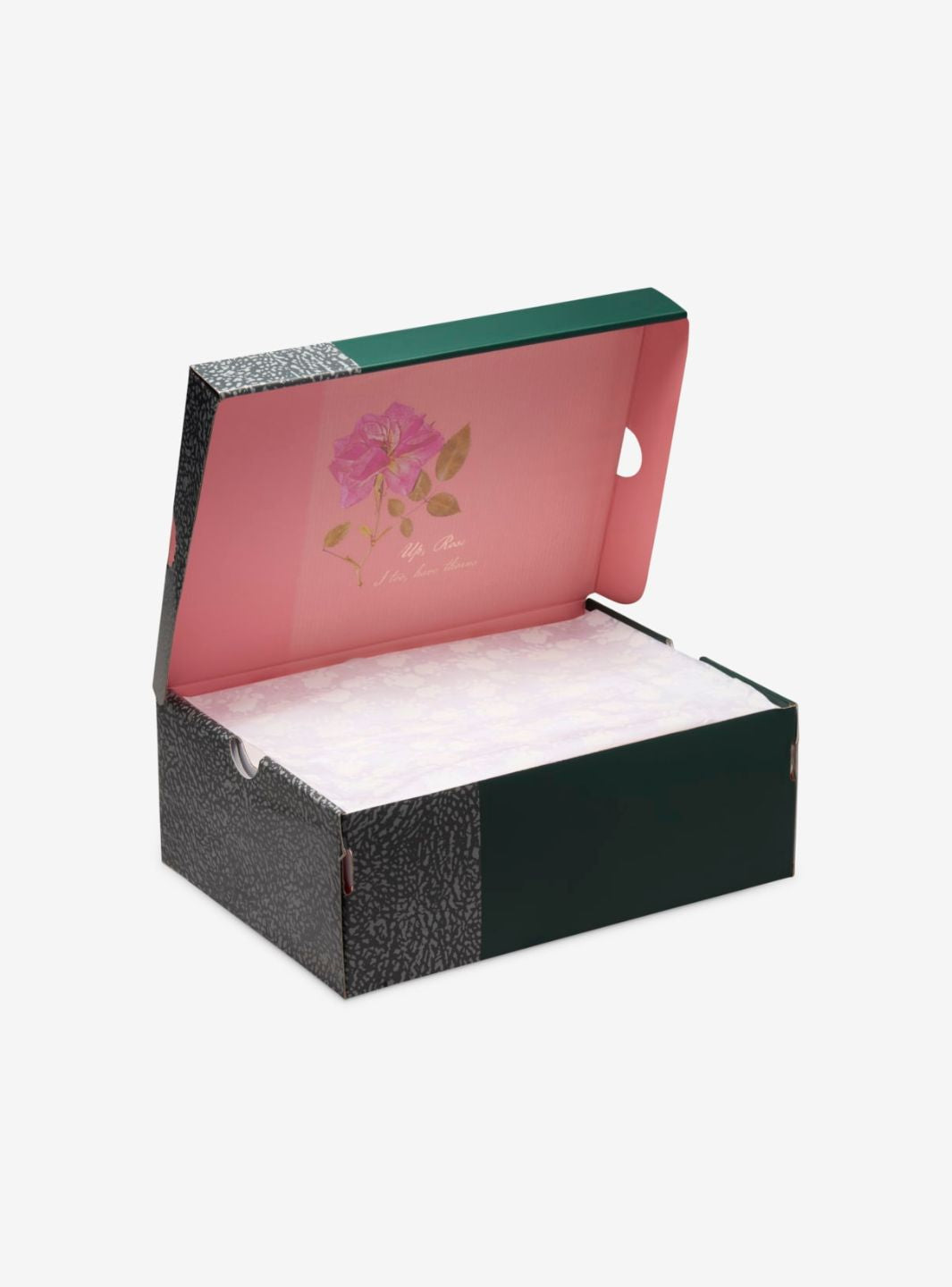 Air Jordan 3 Retro Wings、JORDAN、Cacoeks