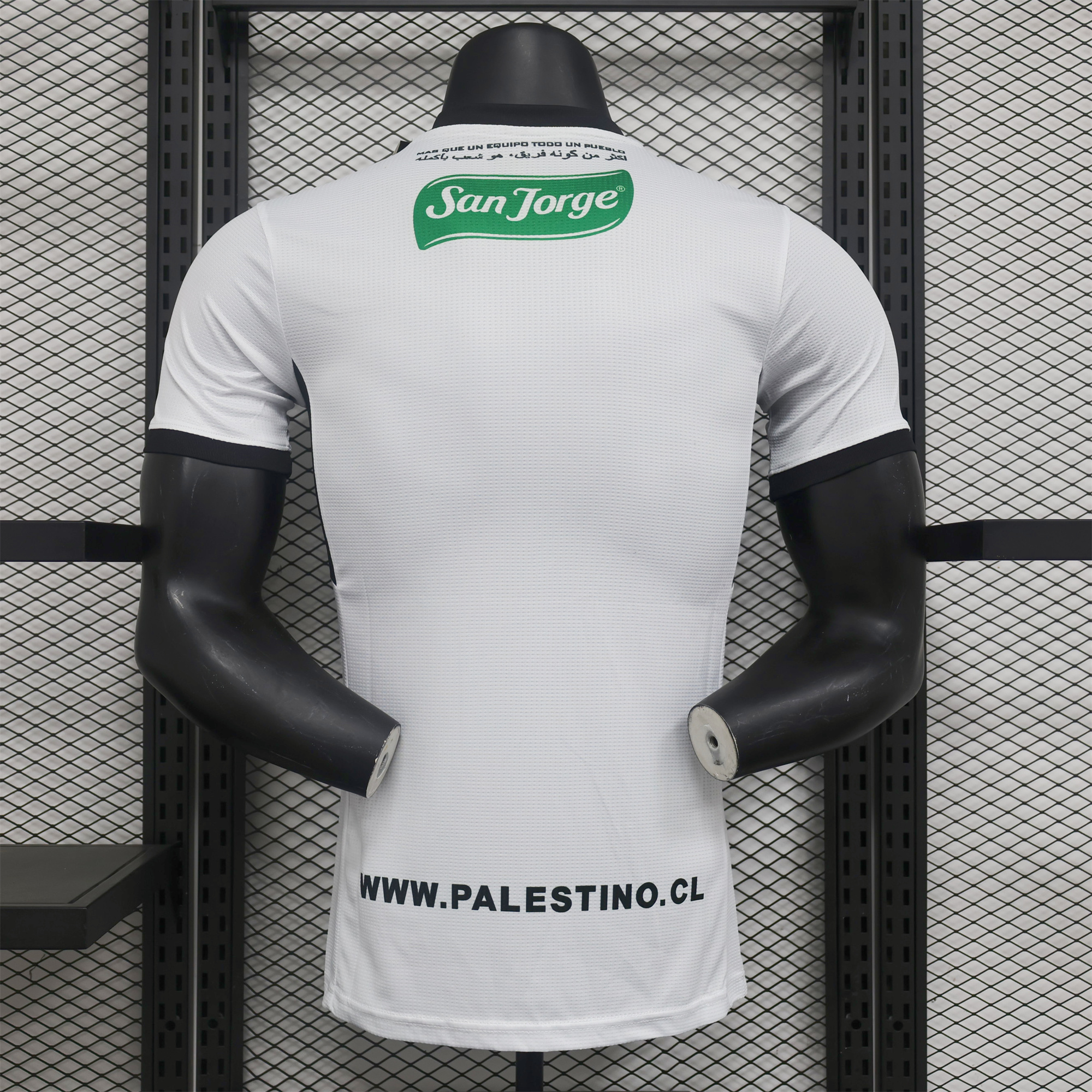 Higojerseys-Club Deportivo Palestino 2024 Third Jersey - Player Version