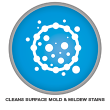 mold and mildew surface