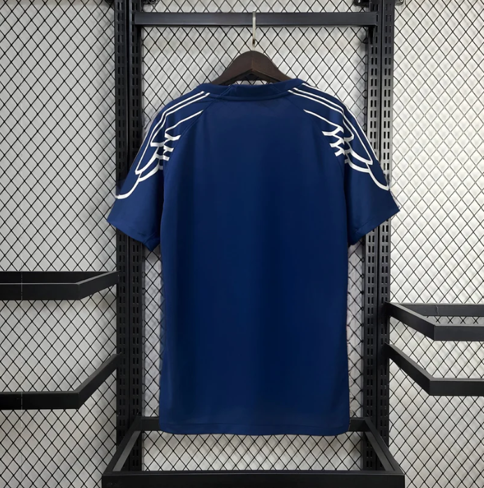 2024/2025 Paris Saint-Germain Jordan Special Edition Football Jersey:football jersey mysite: unitedjerseyfootball 邓江浪:football