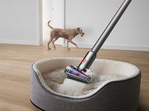 Pet Bed Mobile