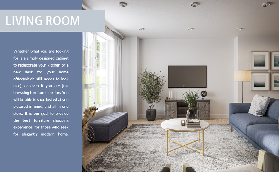 Living Room Furnitures