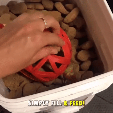 Horse Treat Ball