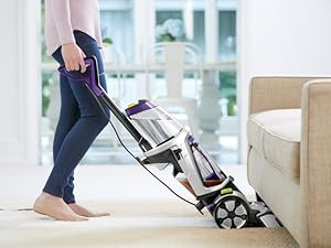 Dual DirtLifter PowerBrushes