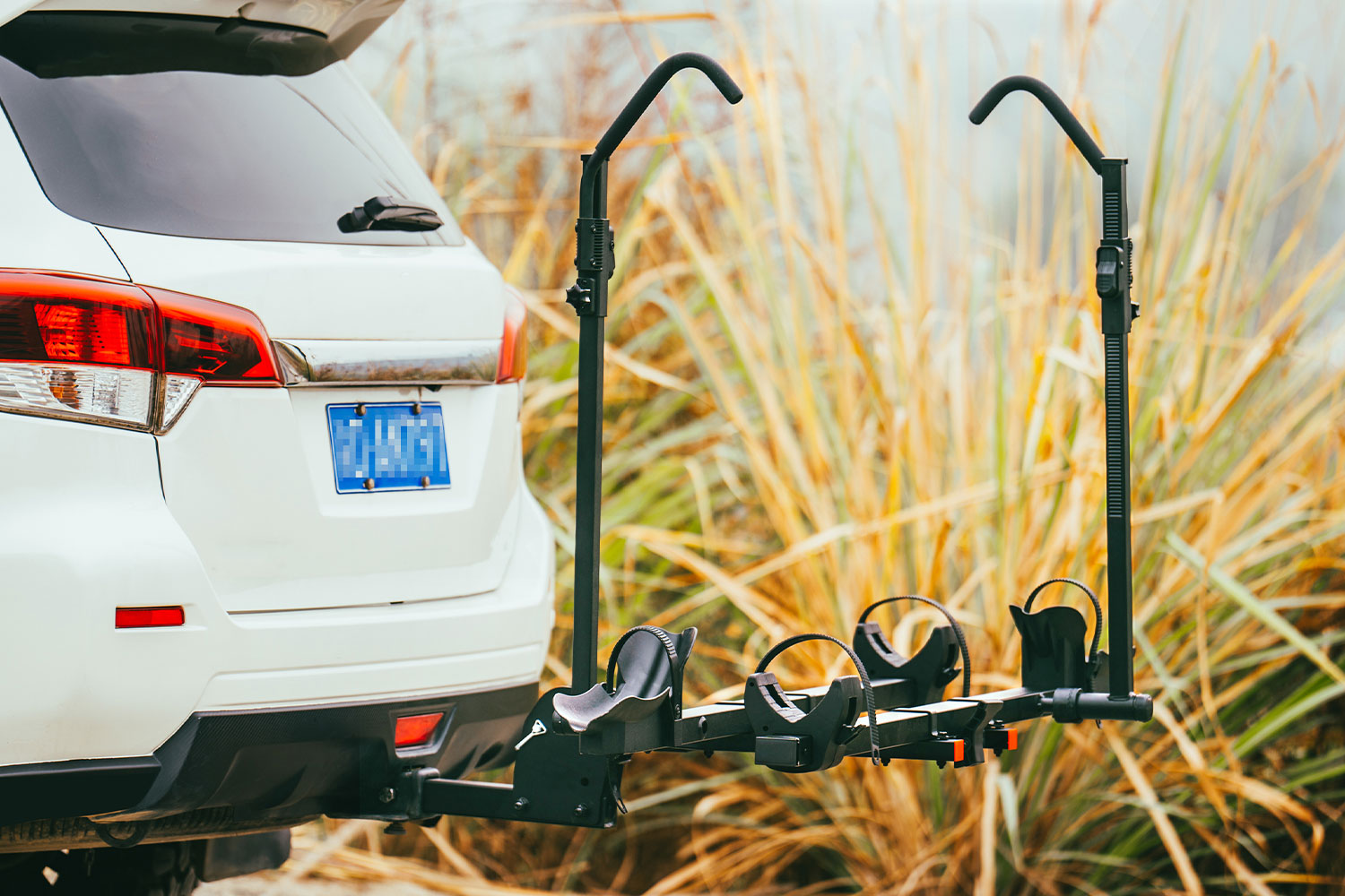 Magicycle EBike Rack For Car、mySite、bearsvspackers