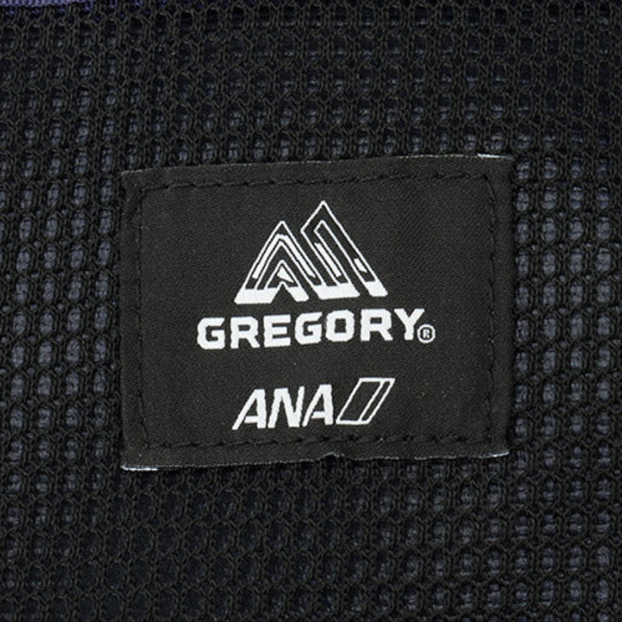 GREGORY x ANA Daypack 26L  Black Label 