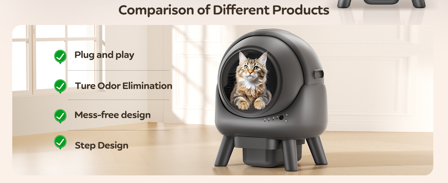 litter box