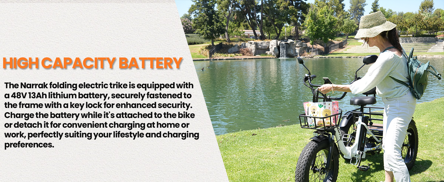 folding electric trike