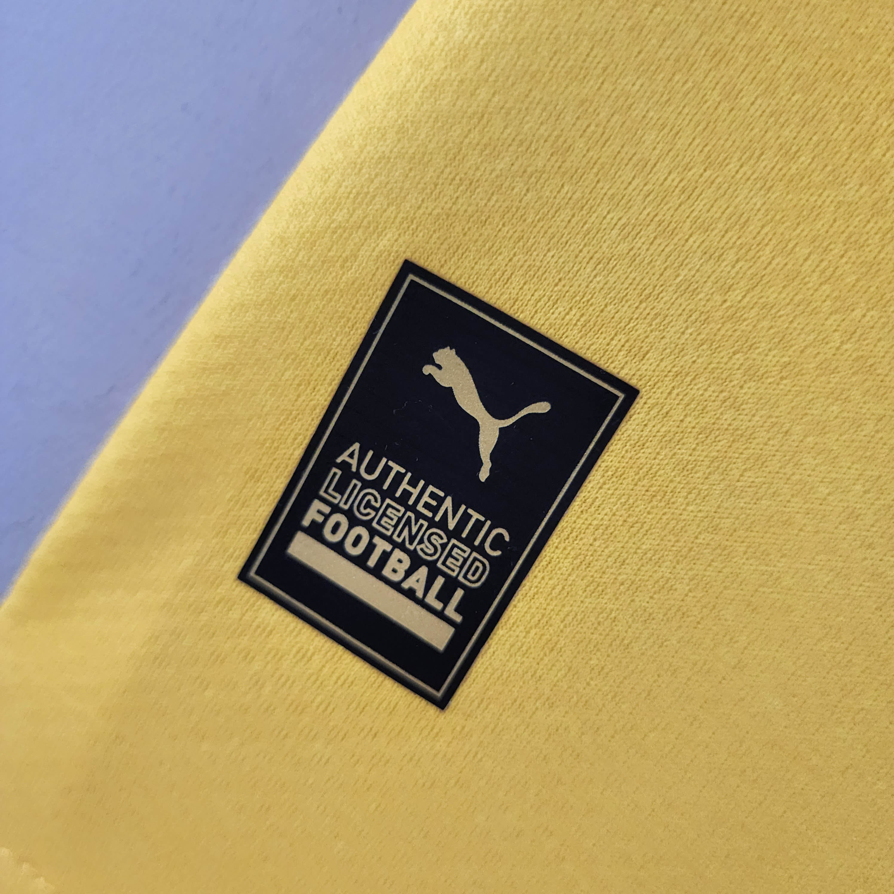 2022/2023 Dortmund Third Away Football Shirt:football jersey mysite: unitedjerseyfootball 邓江浪:football