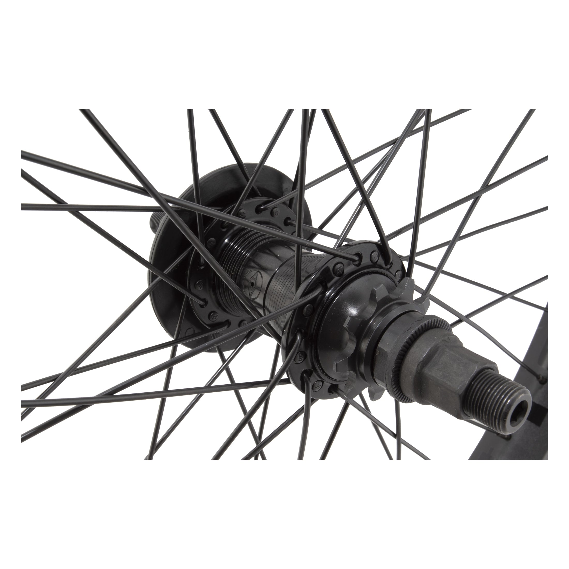 Vandal + Venus LHD 9T、mySite、bearsvspackers