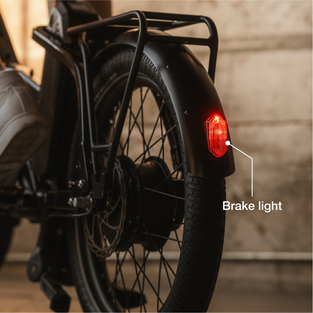 Lectric ONE Long-Range eBike、mySite、bearsvspackers