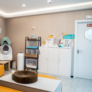 Medical or veterinary examination room with white cabinets, storage shelving, and examination table with brown cushioning.