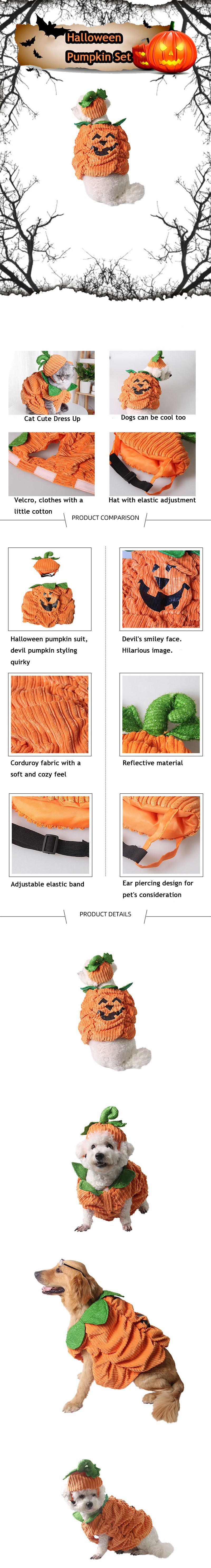 Halloween Cat Dog Hat Clothes Pumpkin Set