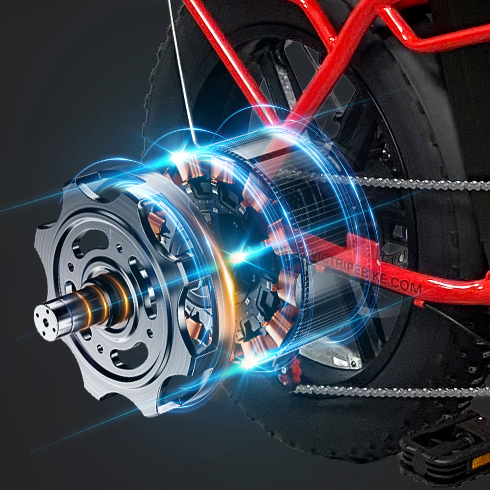 1000w Ebike Fast E Bicycle | VICTRIP