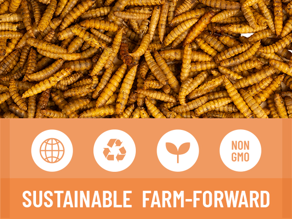 Sustainable