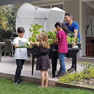 Vegepod on Stand, waist height, Jamie Durie