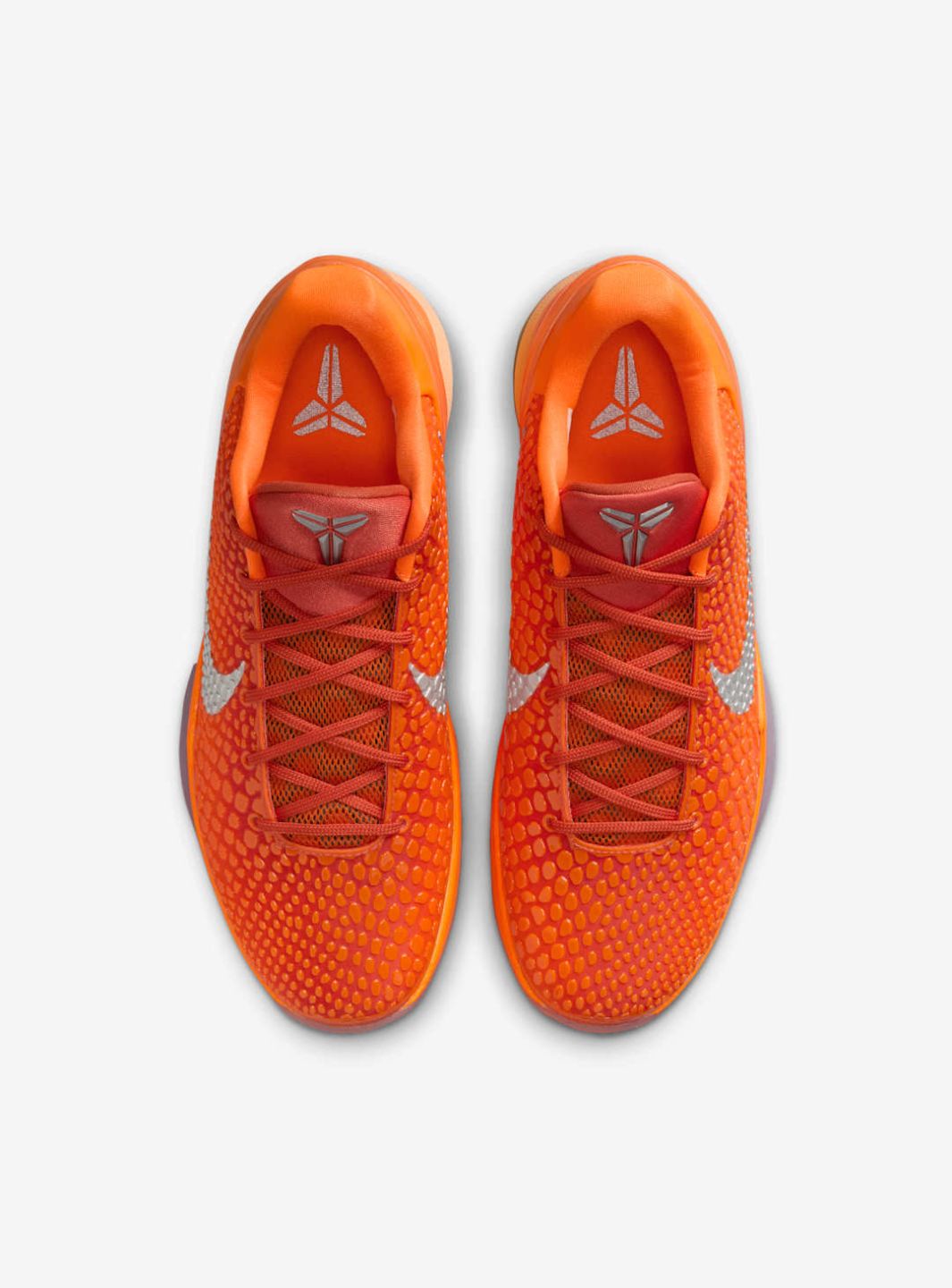 Nike Kobe 6 Protro Total Orange、NIKE、Cacoeks