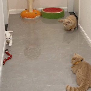 Waltleather  Smart Sensing Snake Electron Interactive Cat Toys