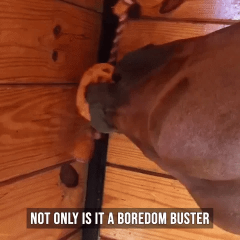Horse Treat Ball