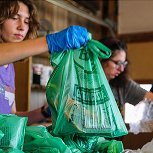 BioBag Composting Bag with Handles