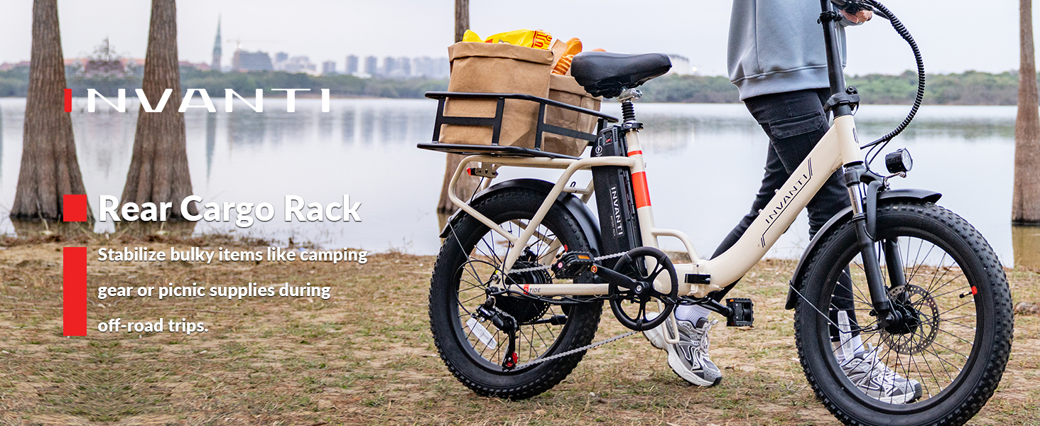 cargo ebike