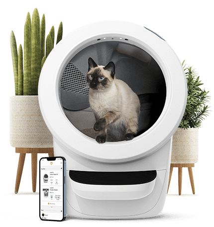 The smartest litter box