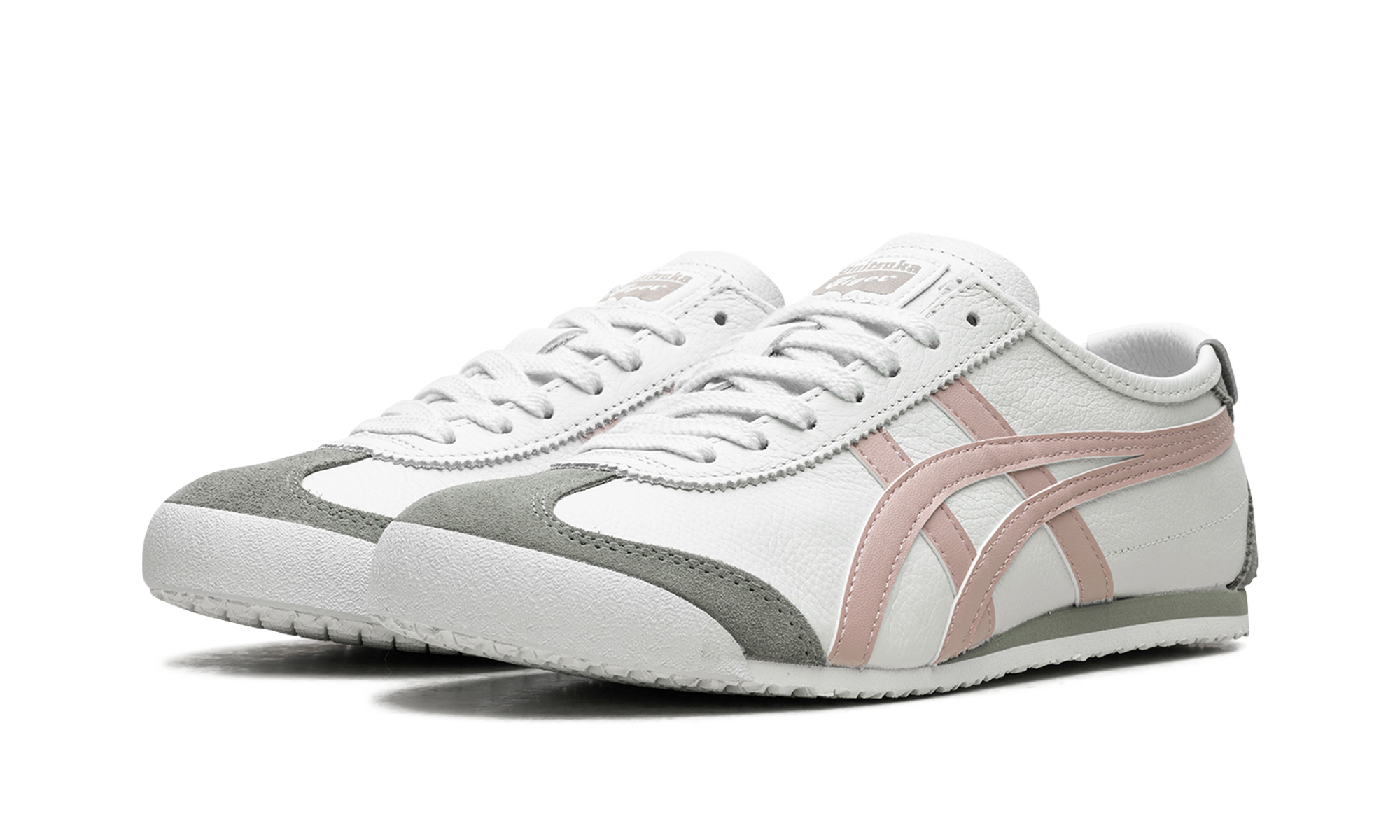 Mexico 66 "Airy Blue Watershed Rose"、mysite、Cacoeks