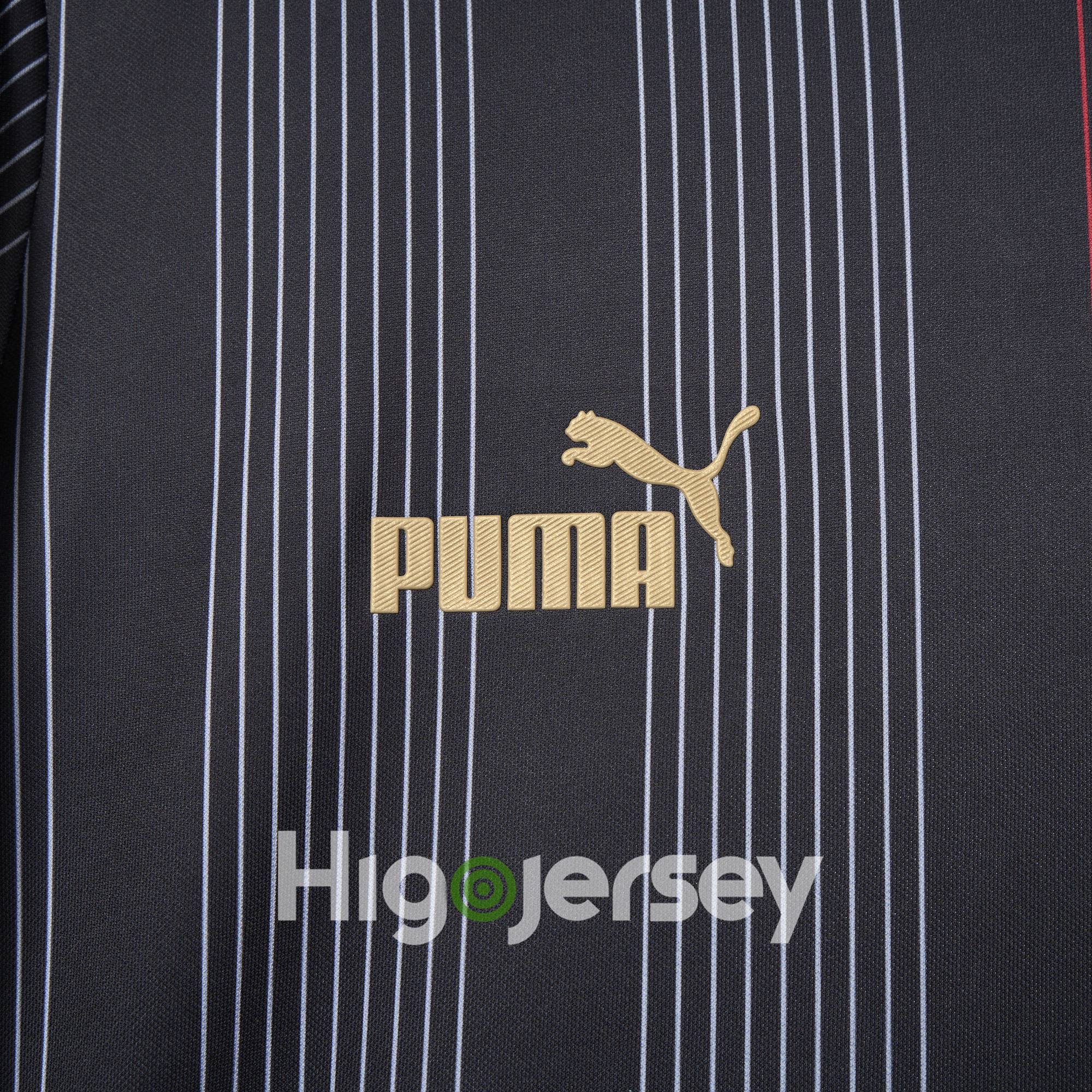 Higojerseys-Austria 2024 50th Anniversary Long Sleeve Jersey - Fans Version