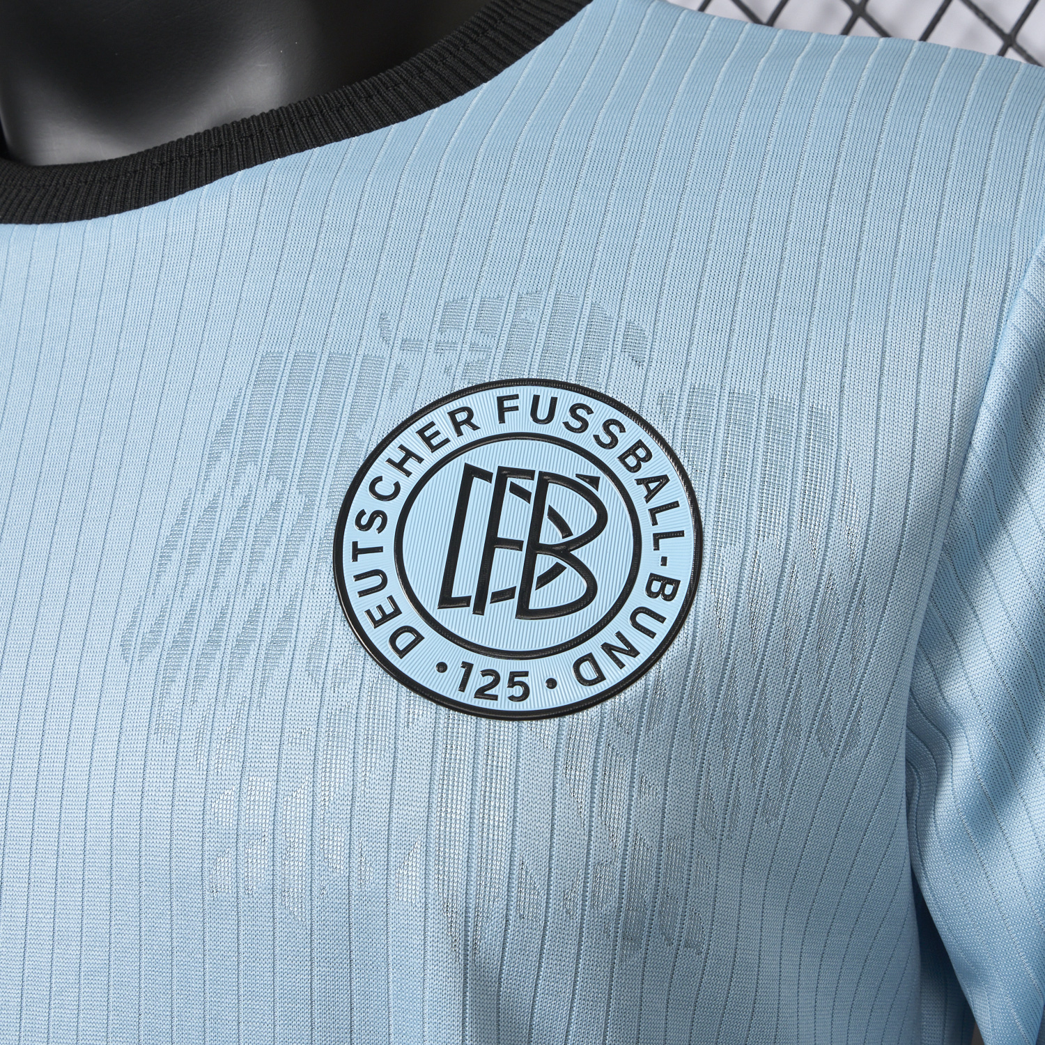 UltraTrikot-Germany 2025 125-Year Anniversary GK Blue Long Sleeve Jersey - Player Version