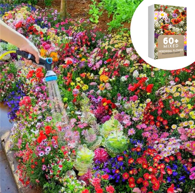 🇺🇸Spring Bloom Bonanza: 🔥GFOUK® 60+ Garden Flower Seeds🔥Growing into S – Dank You