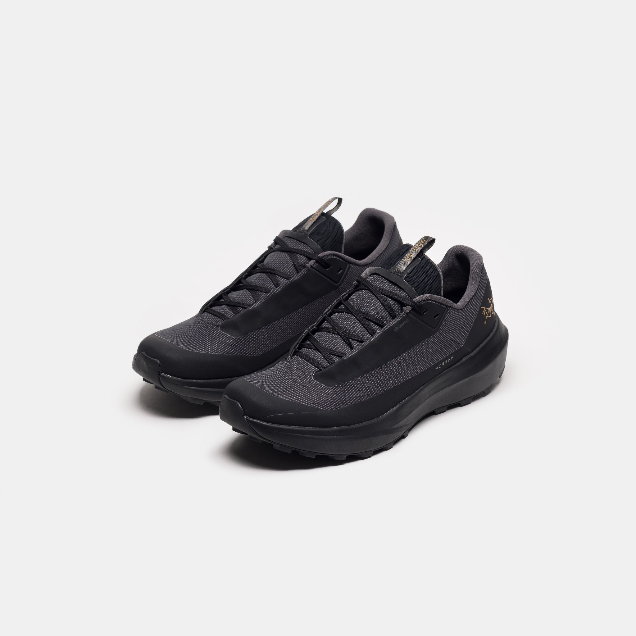 Norvan LD 4 Gore-Tex Sneaker in Black/Black