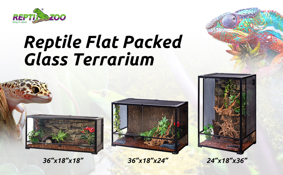 glass terrarium