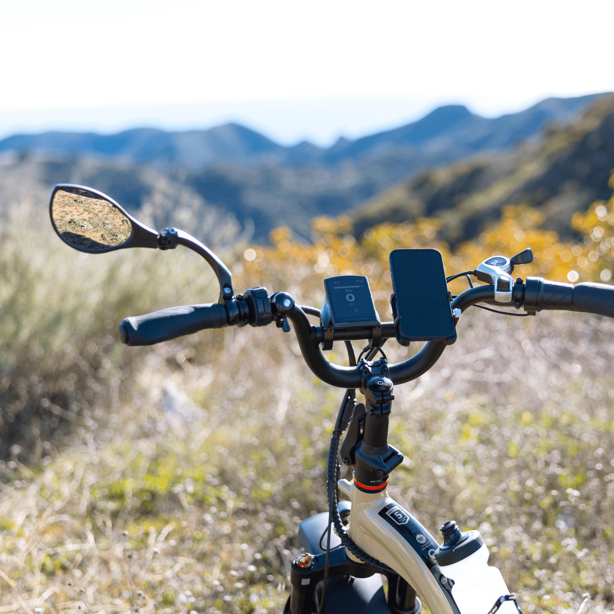 Rad Mirror、mySite、bearsvspackers