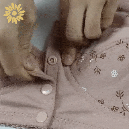 daisybra