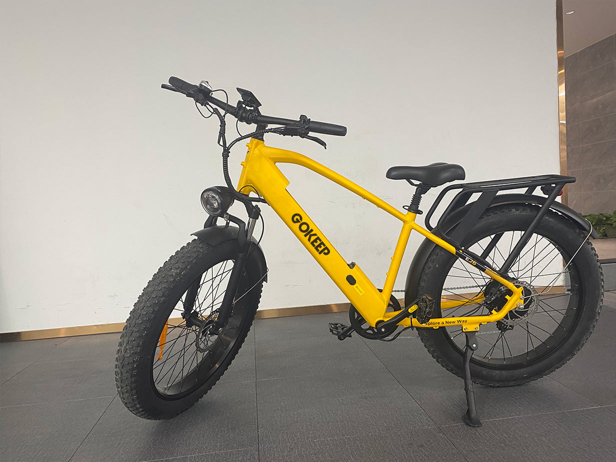 Engwe Gokeep、mySite、bearsvspackers